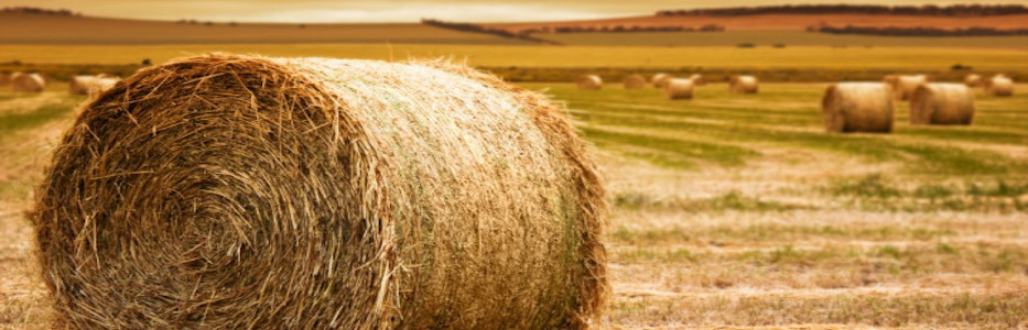 Boomer turned 1000 straw bales into a fortress-like house