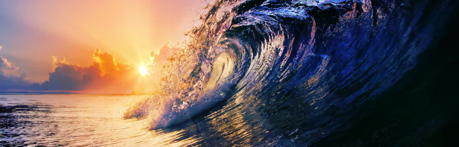 Another entrant rushing to ride cresting built-to-rent wave