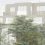 Co housing project to wrap seniors in ‘Ageing Cottonwool’