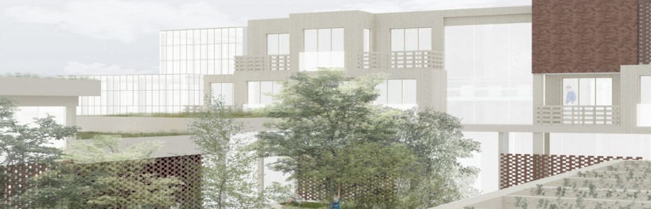 Co housing project to wrap seniors in ‘Ageing Cottonwool’