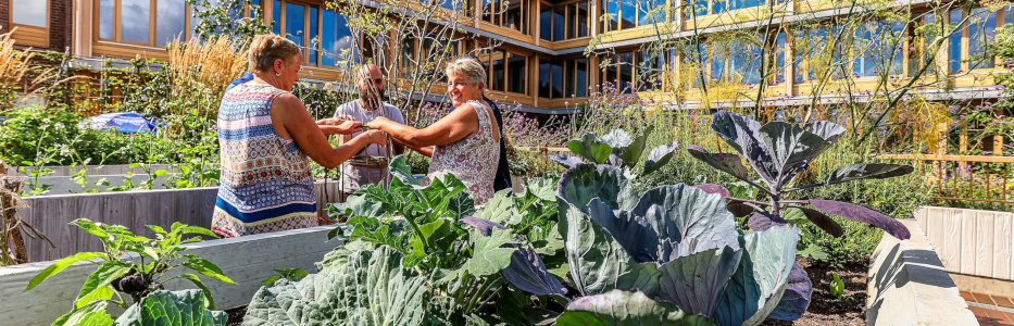 Senior housing project to combat loneliness wins unique award