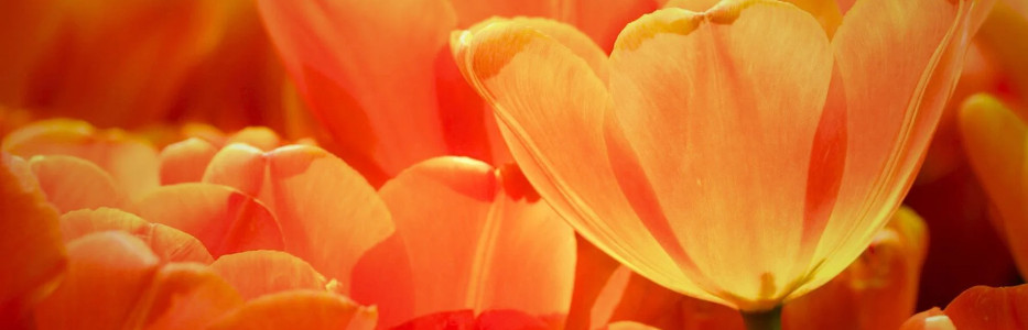 Psychological research informs how to maximise well-being during retirement