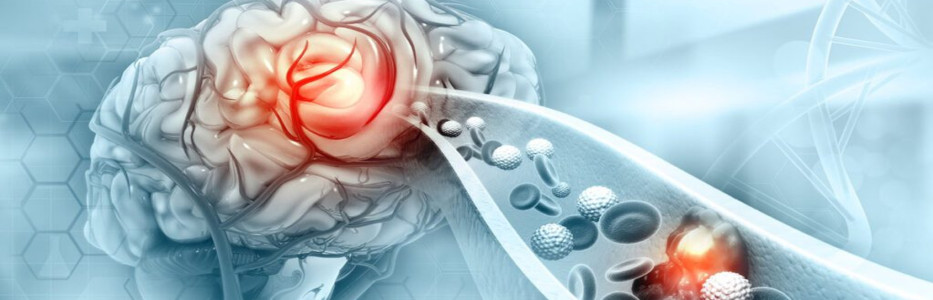 Construction begins on social housing and brain injury home