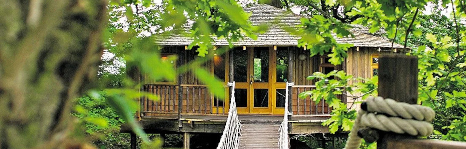 Crypto tycoon in row over treehouse in his backyard