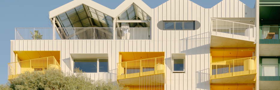 Housing ‘creative’ admits solving home crisis beyond fixing